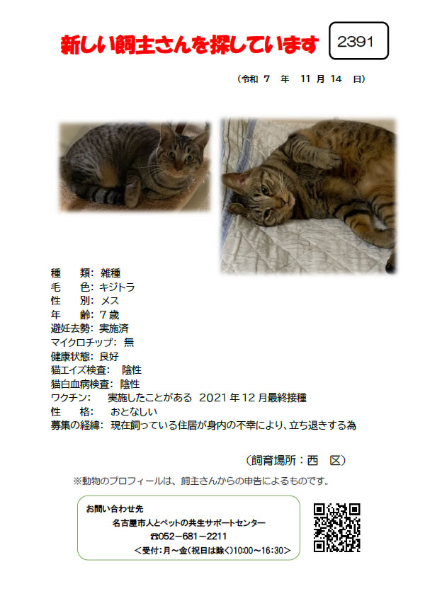 【3】2025年11月14日掲載