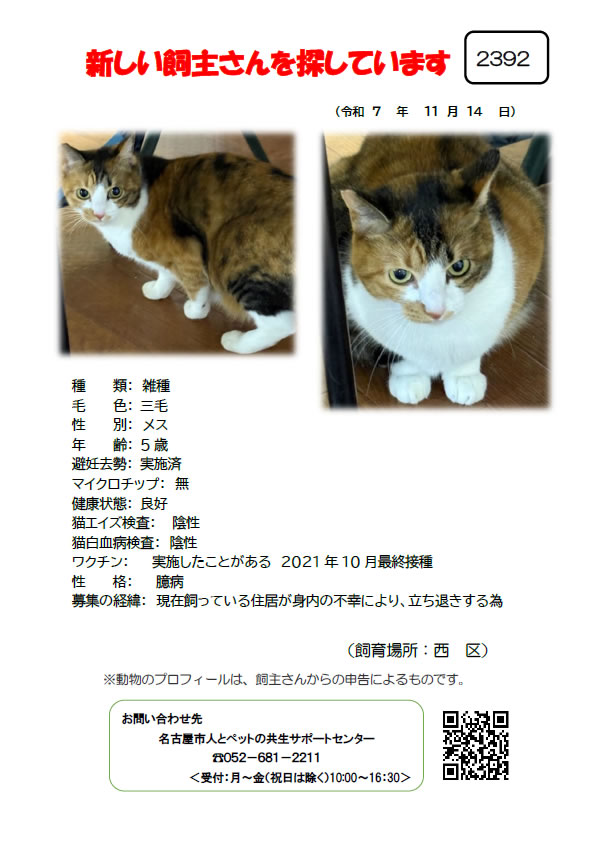 【4】2025年11月14日掲載