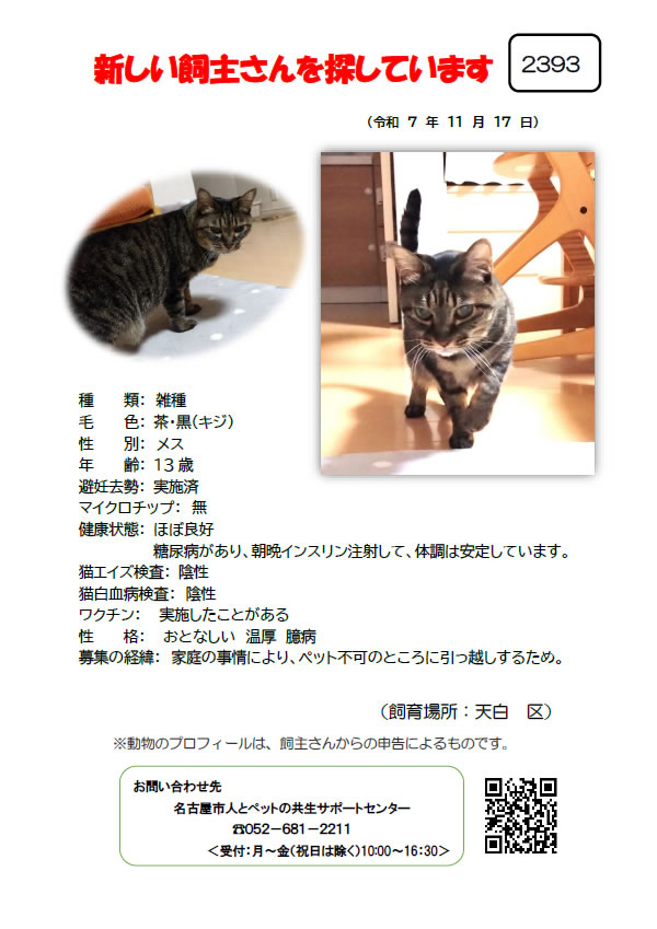 【1】2025年11月17日掲載