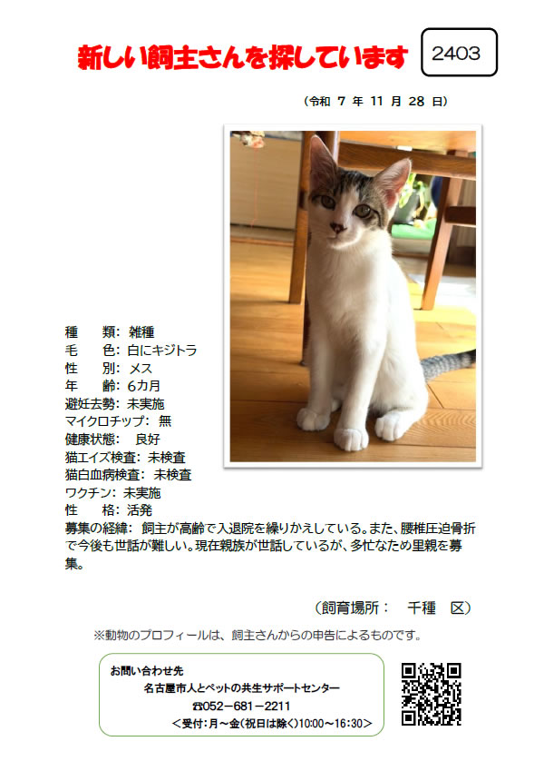 【1】2025年11月28日掲載