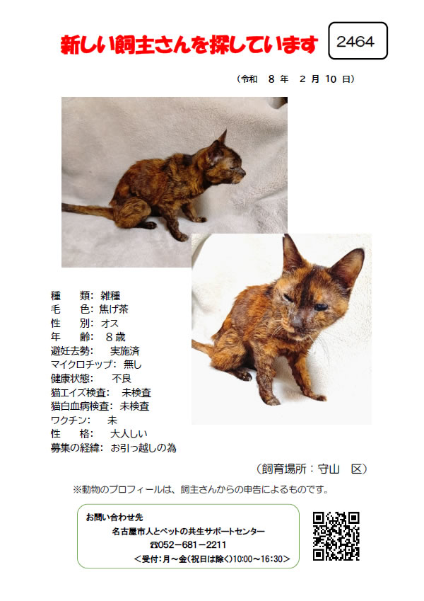 【2】2026年2月10日掲載