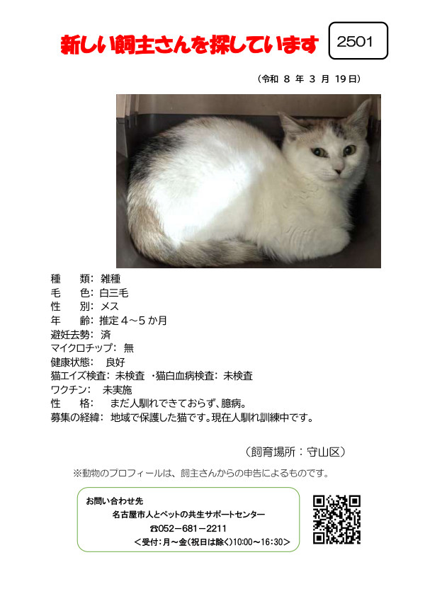 【1】2026年3月19日掲載