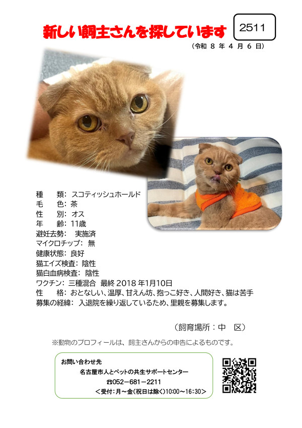 【2】2026年4月6日掲載