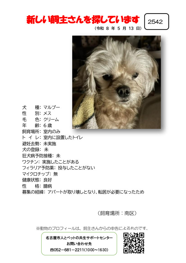 【4】2026年5月13日掲載