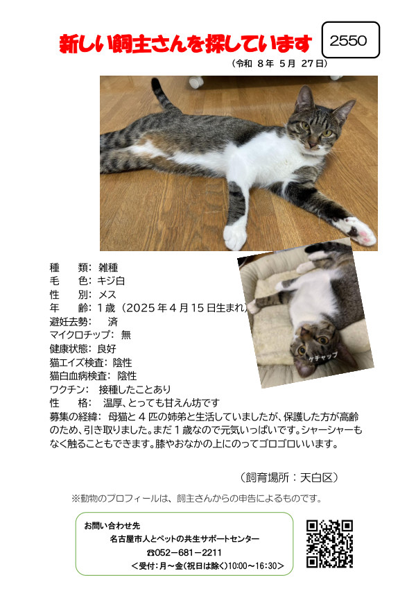 【3】2026年5月27日掲載