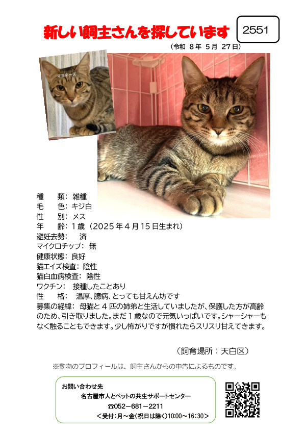 【4】2026年5月27日掲載