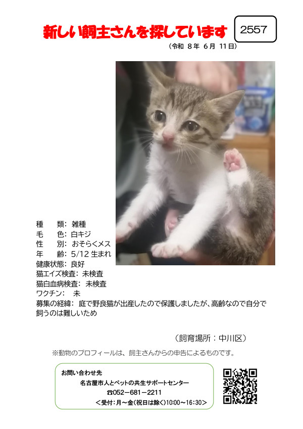 【2】2026年6月11日掲載