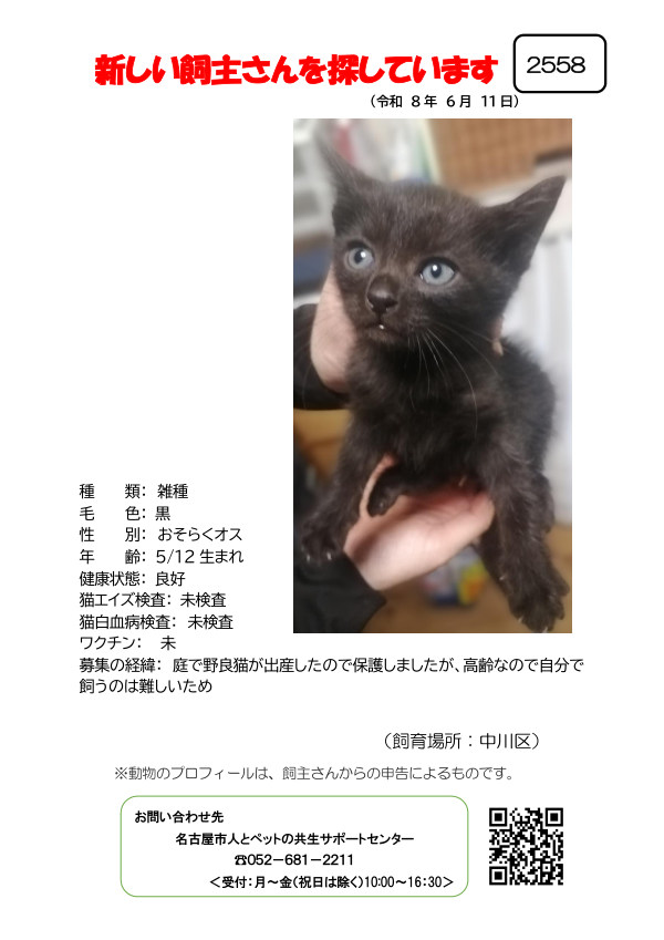 【3】2026年6月11日掲載