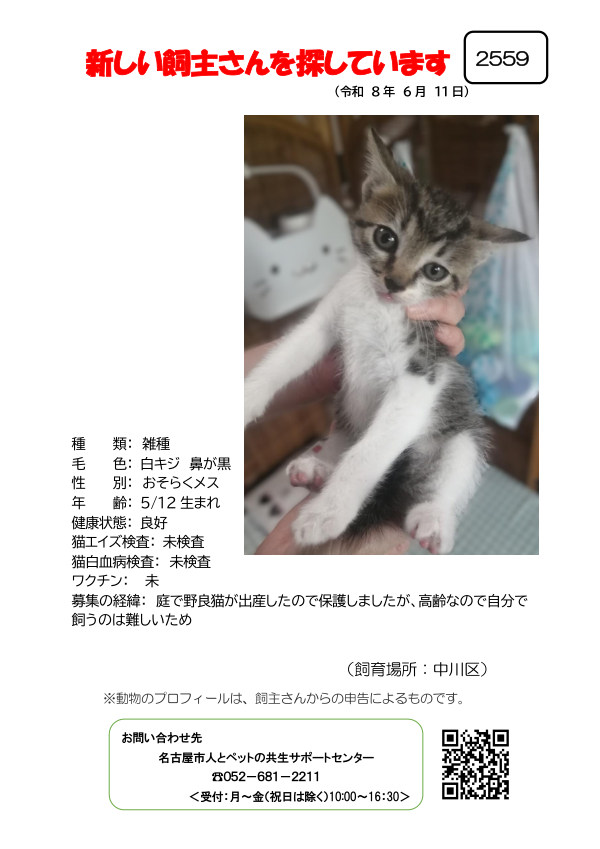【4】2026年6月11日掲載