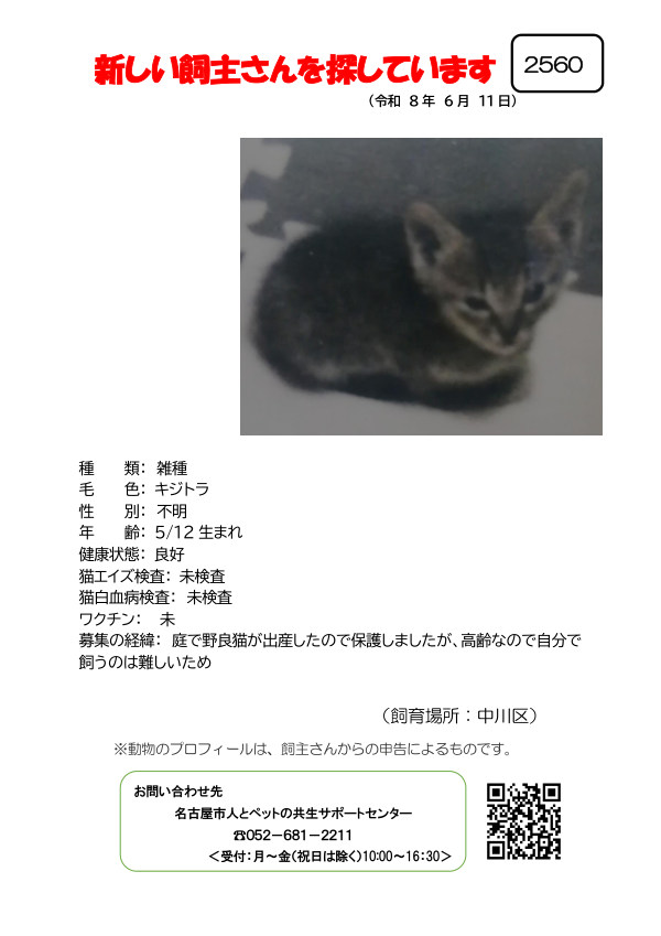 【5】2026年6月11日掲載