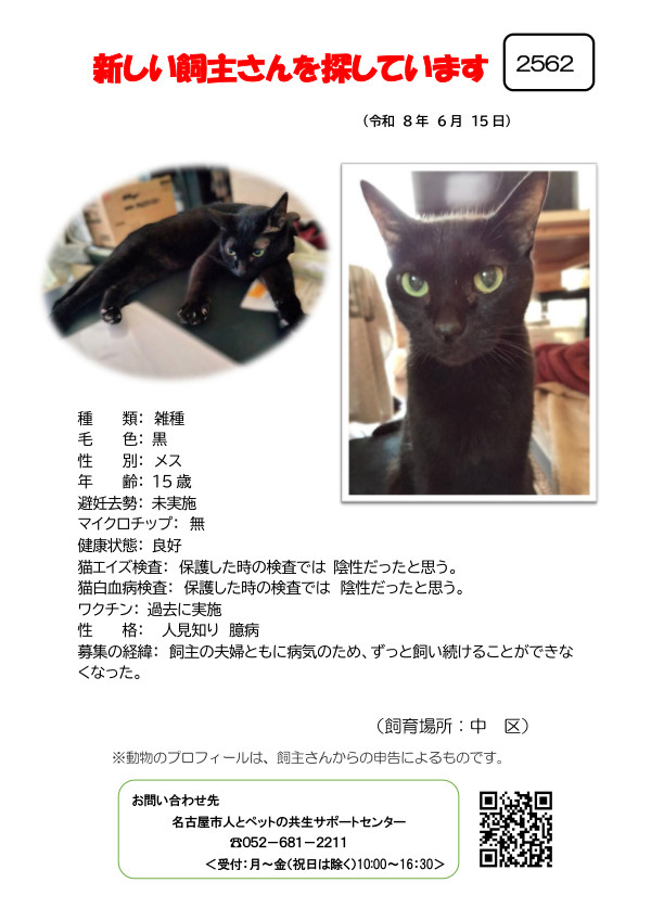 【1】2026年6月15日掲載