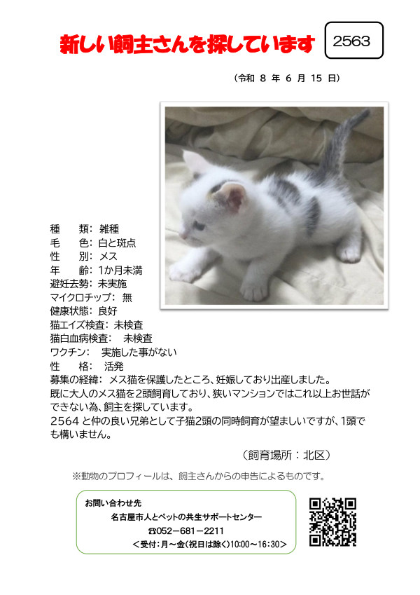 【2】2026年6月15日掲載