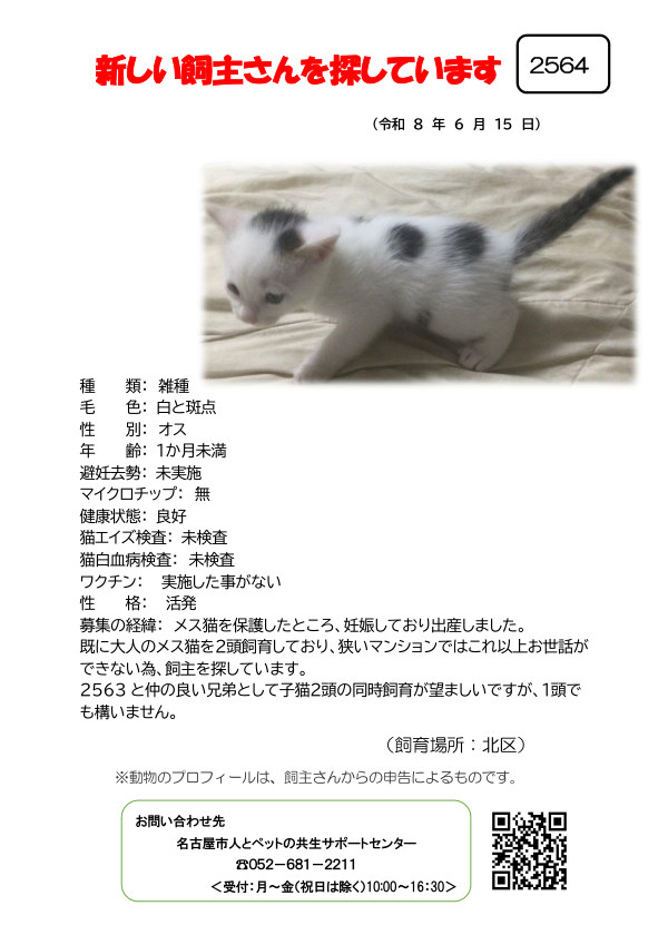 【3】2026年6月15日掲載