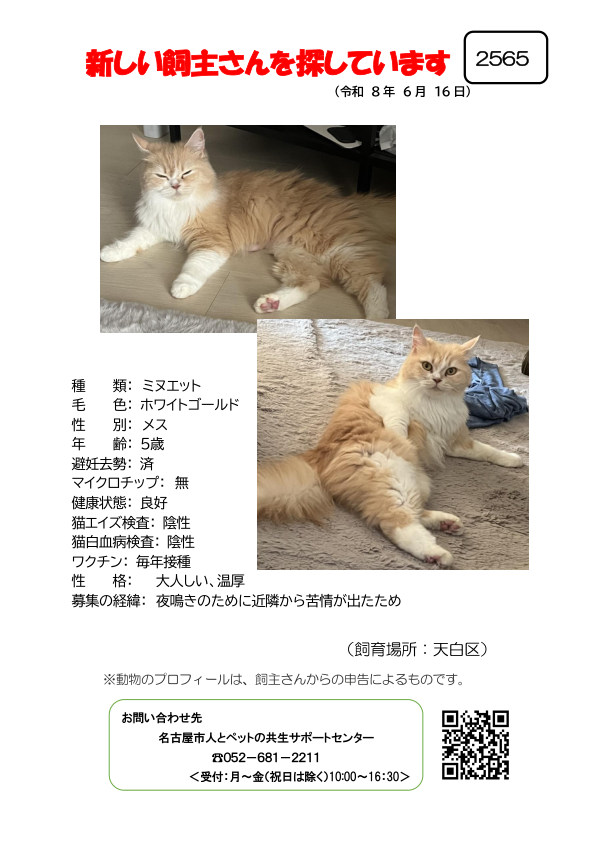 【1】2026年6月16日掲載