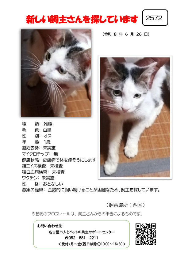 【2】2026年6月26日掲載