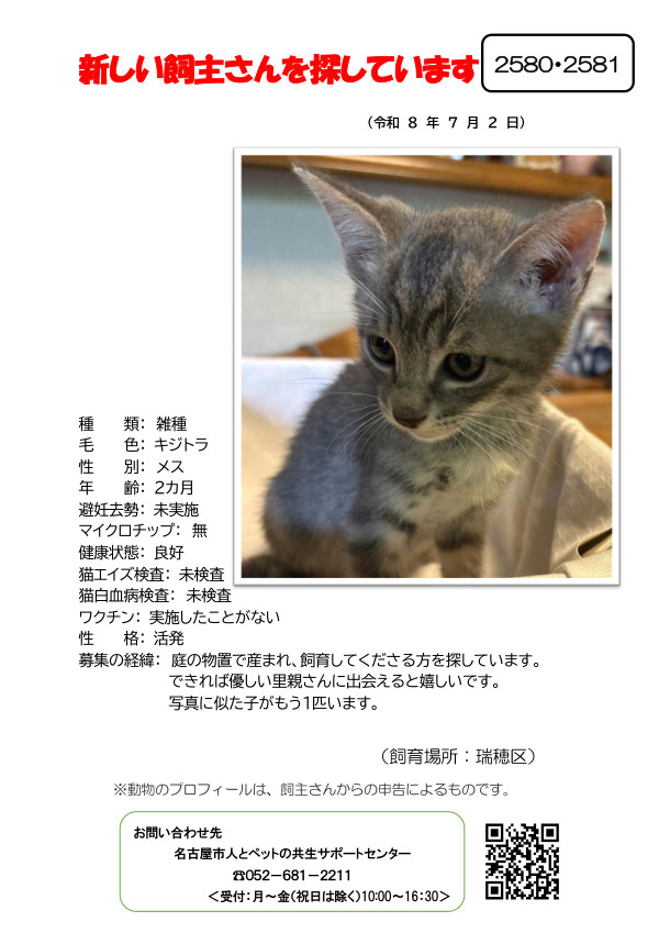 【3】2026年7月2日掲載