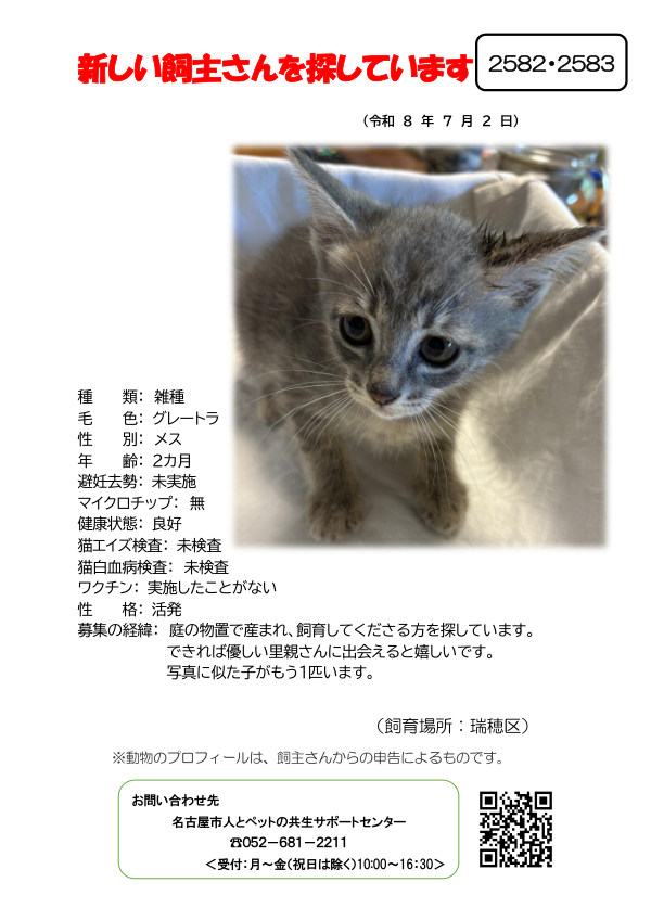 【4】2026年7月2日掲載