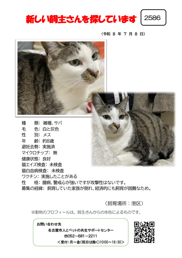 【2】2026年7月8日掲載