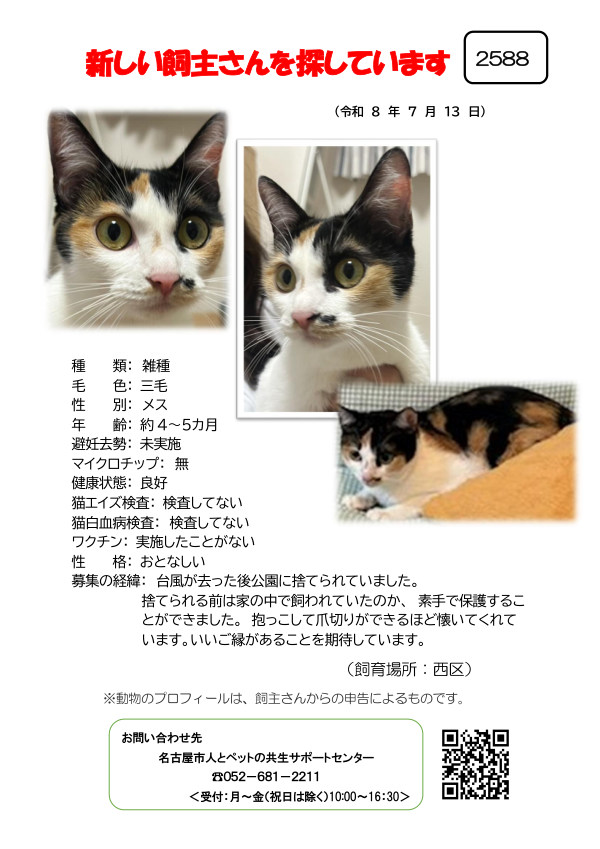 【2】2026年7月13日掲載