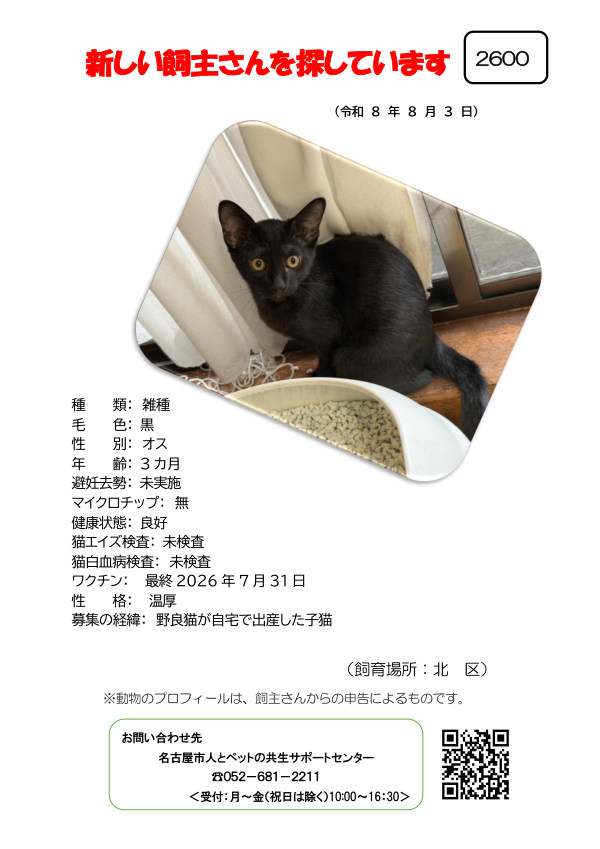 【2】2026年8月3日掲載