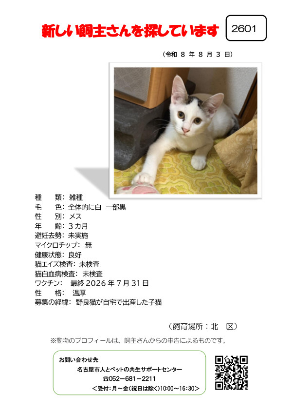 【3】2026年8月3日掲載