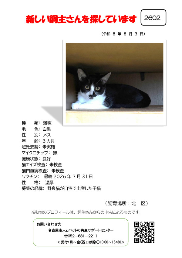 【4】2026年8月3日掲載