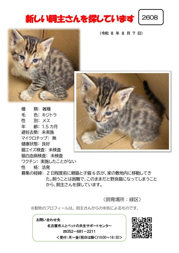 【2】2026年8月7日掲載