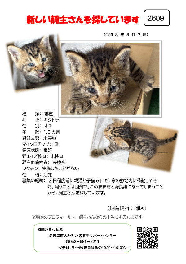 【3】2026年8月7日掲載