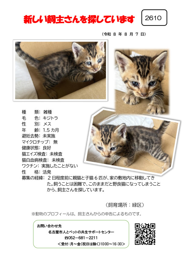 【4】2026年8月7日掲載