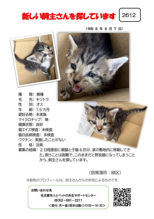【6】2026年8月7日掲載