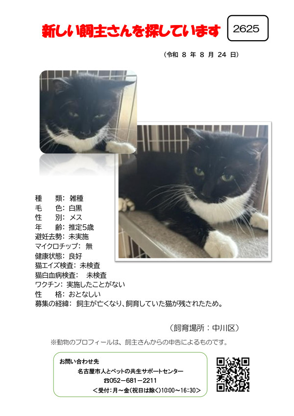 【4】2026年8月24日掲載