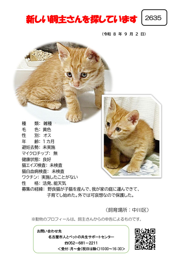 【2】2026年9月2日掲載