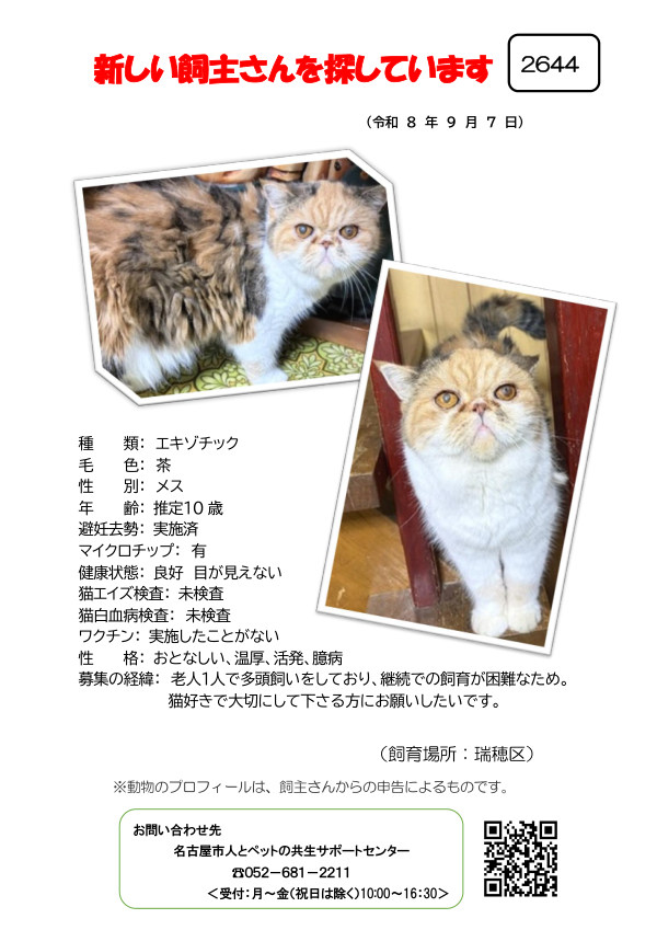 【4】2026年9月7日掲載