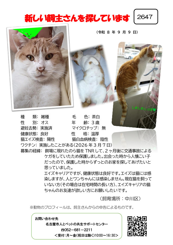 【2】2026年9月9日掲載