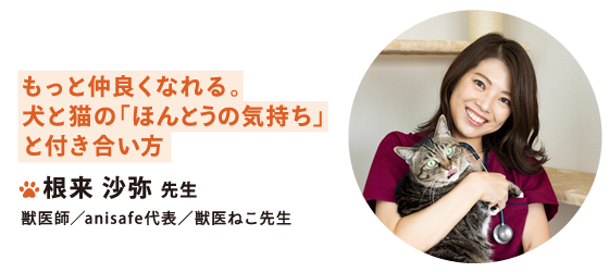 根来沙弥 先生