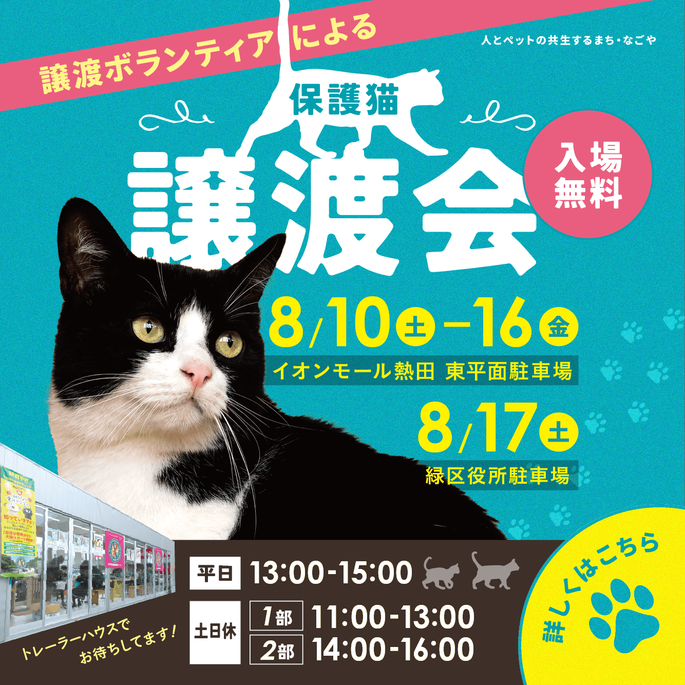 令和6年8月10日(土)～16日(金)・8月17日(土)猫の譲渡会を開催します