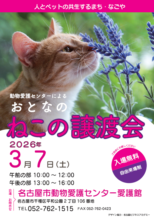 保護猫の譲渡会のポスター画像