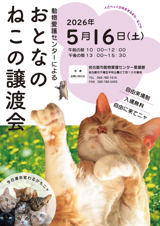 保護猫の譲渡会のポスター画像