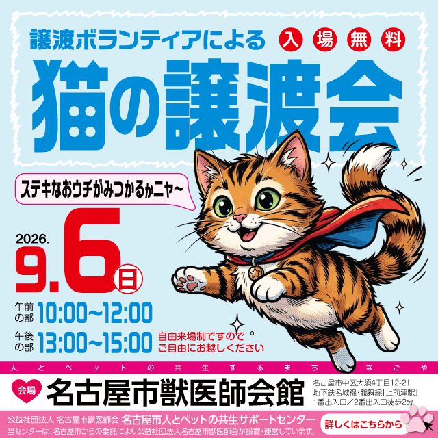 令和8年9月6日(日)保護猫の譲渡会を開催します