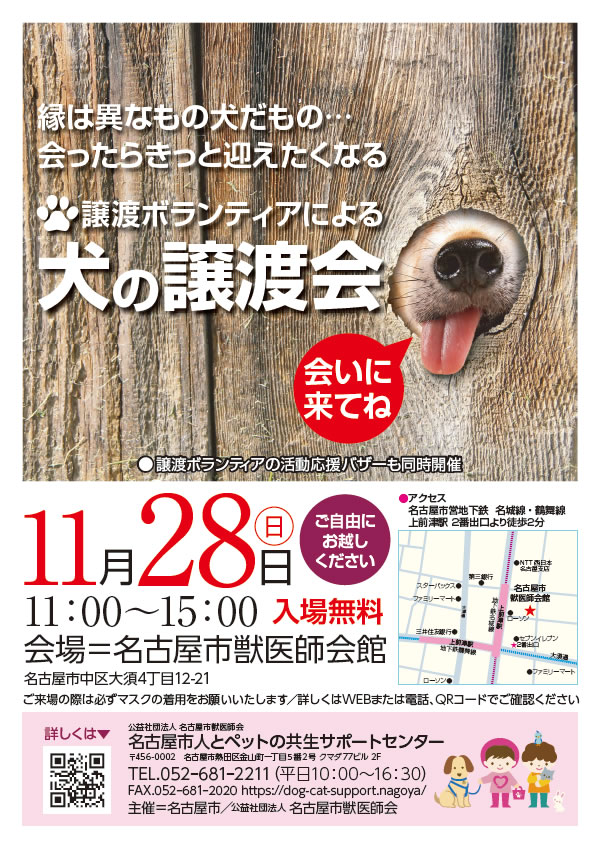 犬の里親募集 11月28日 日 犬の譲渡会を開催します 名古屋市 人とペットの共生サポートセンター 公益社団法人 名古屋市獣医師会