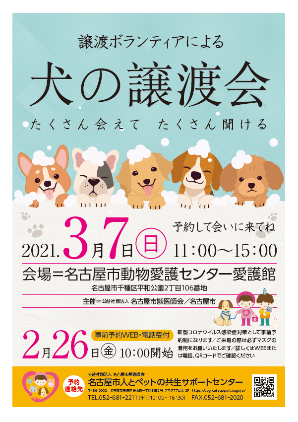 犬の譲渡会を3月7日 日 に開催 名古屋市 人とペットの共生サポートセンター 公益社団法人 名古屋市獣医師会