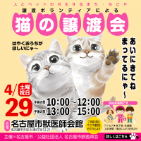 譲渡ボランティアによる「猫の譲渡会」開催！