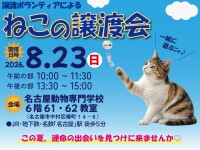 譲渡ボランティアによる猫の譲渡会開催！