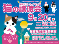 譲渡ボランティアによる猫の譲渡会開催！